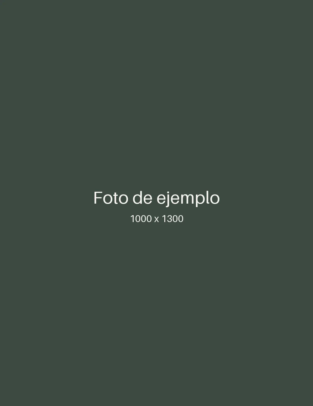 Foto de ejemplo 1